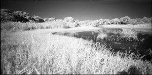 Mother Lake in White #4