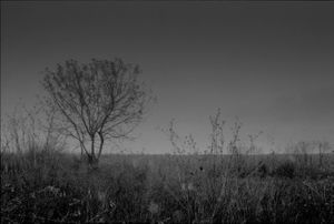 dark alentejo