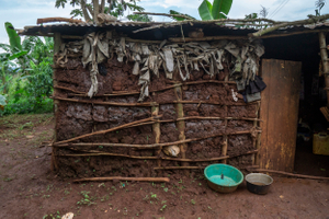 Green bowl