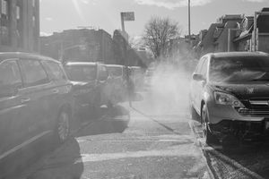 Spring Allergies - 2021