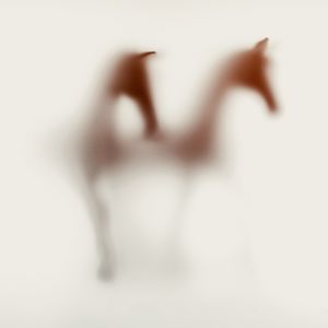 Wild-blur-horses-15.jpg