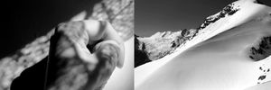 Diptych "Strong" and "Stability"
