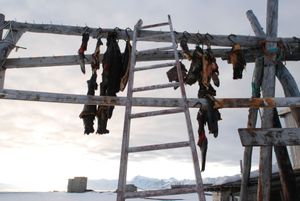 "Polar Trapper site"