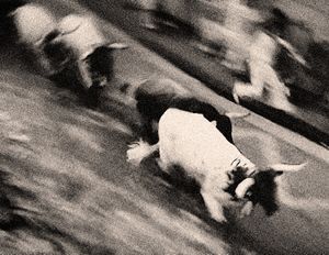 San Fermin bull-run 2015