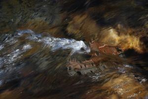 Water Emotions #5