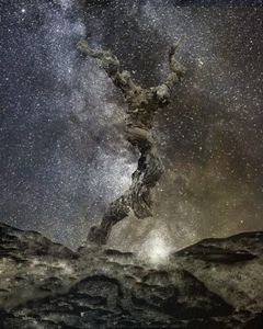 Le danseur des étoiles