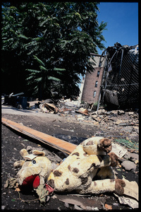 Lewis Avenue, Brooklyn, 2001