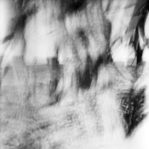 untitled 2