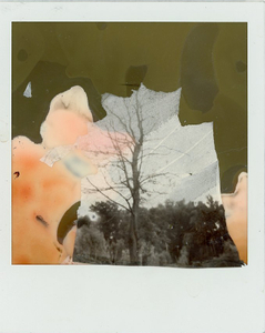 Constructed Landscapes 9