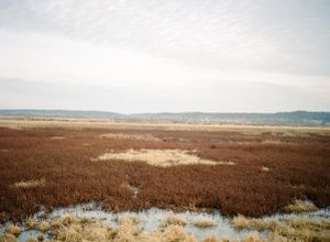 The Week Before the Migration