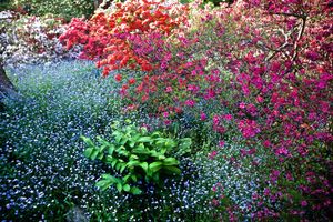 Intimate Life of the garden.