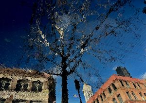 Reflection with Waves in Pioneer Square
