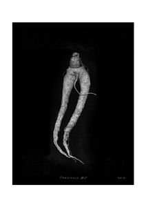 © Jeff Moorfoot