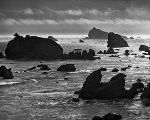 Del Norte Coast