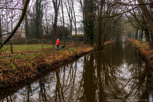 walking the dog