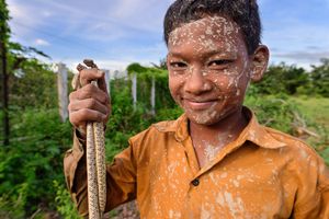 Snake Boy