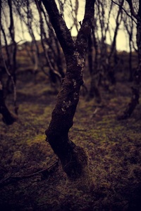Isle Of Skye #272