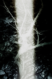 Untitled (Shaft)