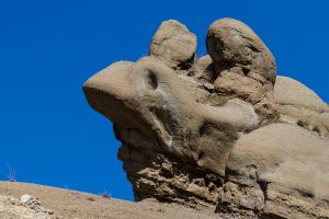 Rabbit(خرگوش)