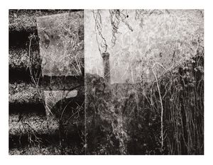 Pastorini Farm, Half Moon Bay, Ca.