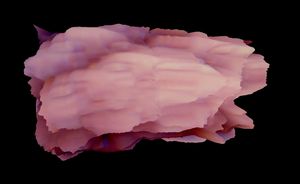 Entropy is an unfriendly quantity 10