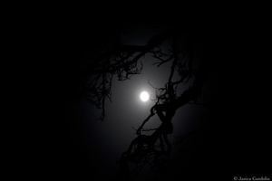 Midnight