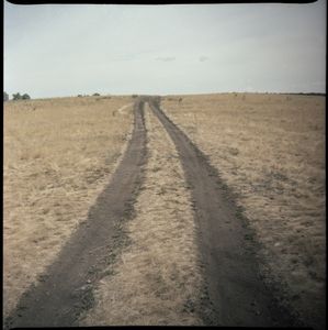 From the series "Endless summer"