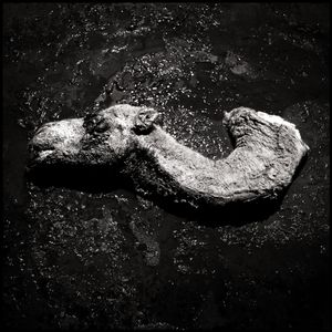 Remnants