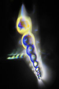Particle Flare