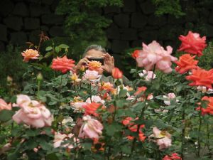 Hibiya Park