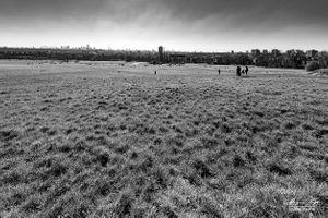 Hampstead Heath | 22