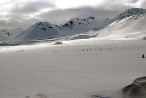 "Radio field under the snow"