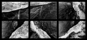 Lakeshore Operations | Dark Series #02
