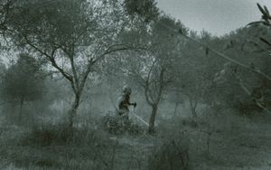 dark alentejo