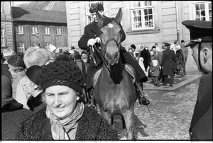 Horse in the Crowd, Kings Birthday, Copenhagen 1970