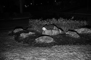 Lying on a Rock at Night
