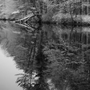 Quietude © Abbey Box
