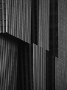 The Rotterdam