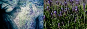 HANGING OUT – IN NATURE 6