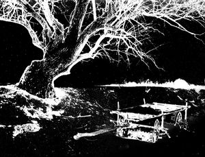 Light and shadow 15