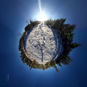Là où sont les vieux anges qui boitent