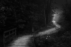 My path