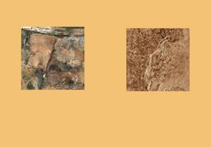 Earth Herbarium, Part III © Evgeny Molodtsov
