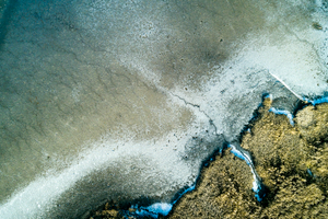 Lakeshore Operations | Ground Level Series #04