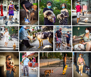 Mask Study - Dog Lovers Edition