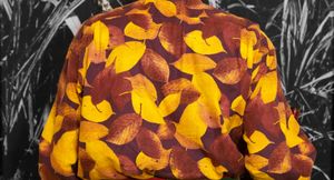 Akibare (flora japonica)