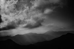 After the rain #19