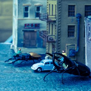Parked Beetles