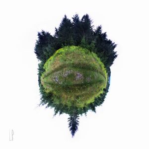 Le regard sur le monde