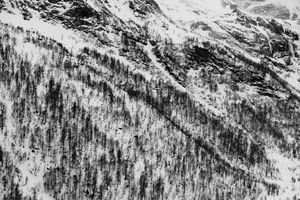 Radiography of a journey. Bernina Express from Tirano to St. Moritz